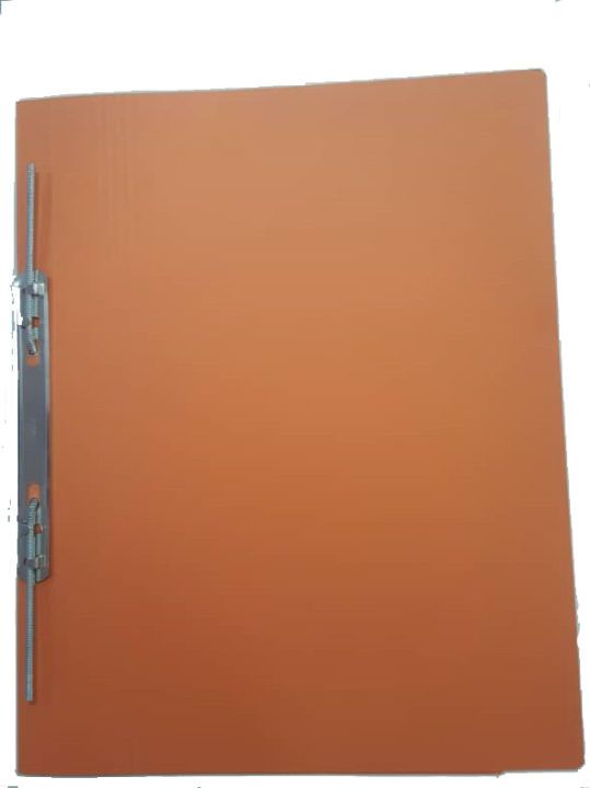 Lion File - MFF 350