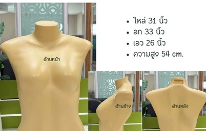 Mannequin Male Half body Stand