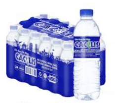 CACTUS NATURAL MINERAL WATER 24 BOTTLES X 500MM