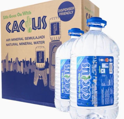 CACTUS NATURAL MINERAL WATER 2 BOTTLES X 9.5L