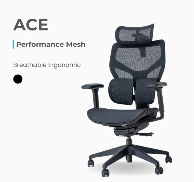 ANEW ACE Ergonomic Chair 