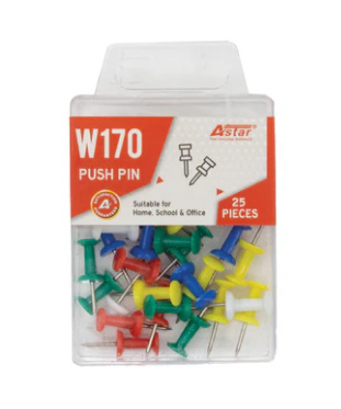 ASTAR W170 PUSH PIN (25PCS/BOX)