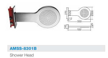 Aimer AMSS-8301B Shower Head
