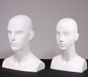 Mannequin Head